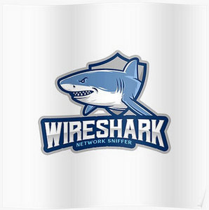 Wireshark 4.2.0 + Portable (x64)