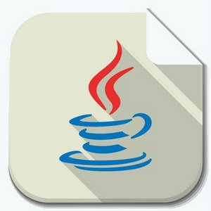 Java SE Development Kit 21.0.2